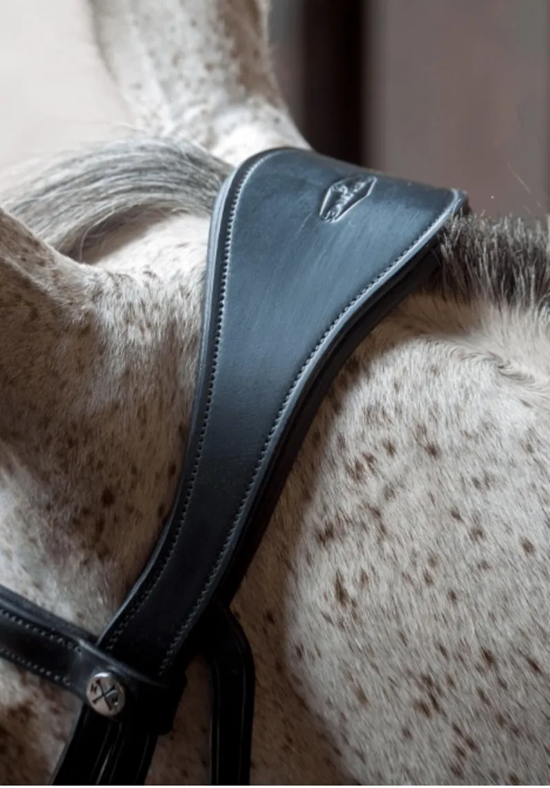 Henry James Grackle Bridle with Flexure Curve Headpiece - Black-2